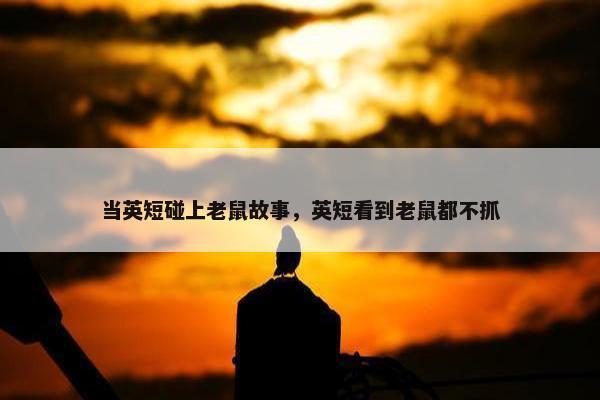 当英短碰上老鼠故事，英短看到老鼠都不抓