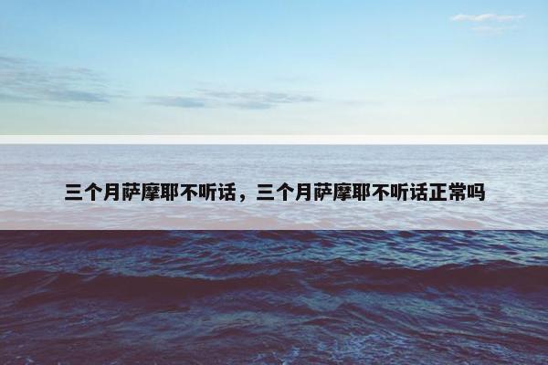 三个月萨摩耶不听话，三个月萨摩耶不听话正常吗