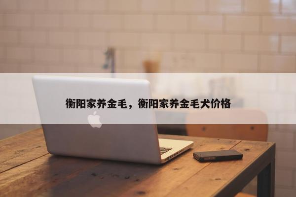 衡阳家养金毛,衡阳家养金毛犬价格