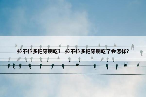 拉不拉多把牙刷吃？ 拉不拉多把牙刷吃了会怎样？