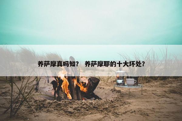 养萨摩真吗知？ 养萨摩耶的十大坏处？