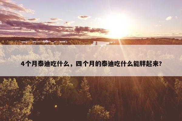 4个月泰迪吃什么,四个月的泰迪吃什么能胖起来?