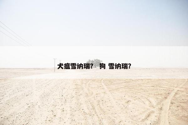 犬瘟雪纳瑞？ 狗 雪纳瑞？