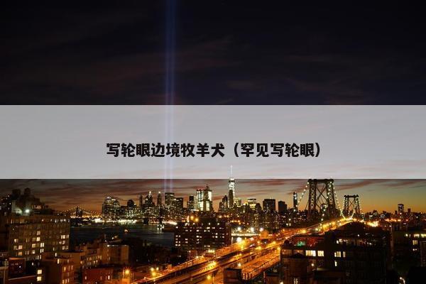 写轮眼边境牧羊犬（罕见写轮眼）