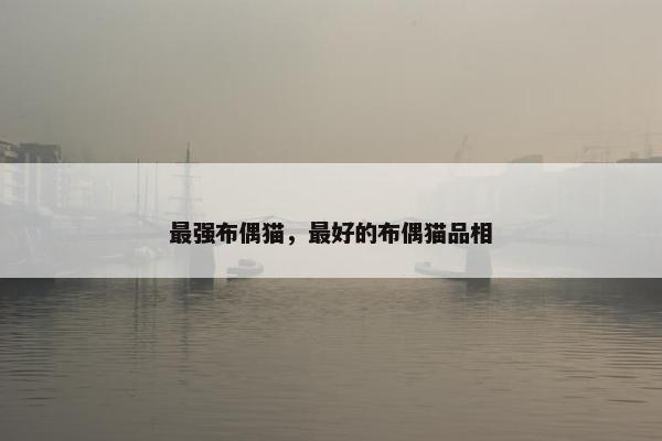 最强布偶猫，最好的布偶猫品相