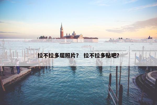 拉不拉多屈照片？ 拉不拉多贴吧？