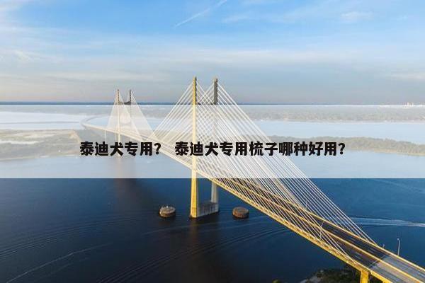 泰迪犬专用? 泰迪犬专用梳子哪种好用?