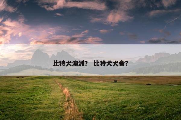 比特犬澳洲？ 比特犬犬舍？