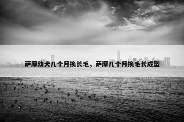 萨摩幼犬几个月换长毛，萨摩几个月换毛长成型