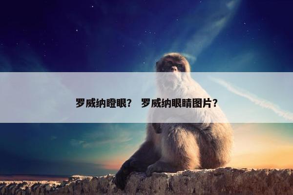 罗威纳瞪眼？ 罗威纳眼睛图片？