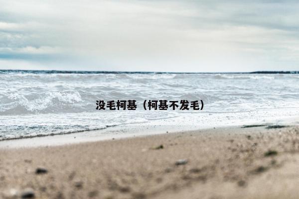 没毛柯基（柯基不发毛）