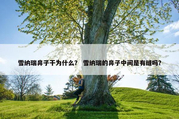 雪纳瑞鼻子干为什么？ 雪纳瑞的鼻子中间是有缝吗？