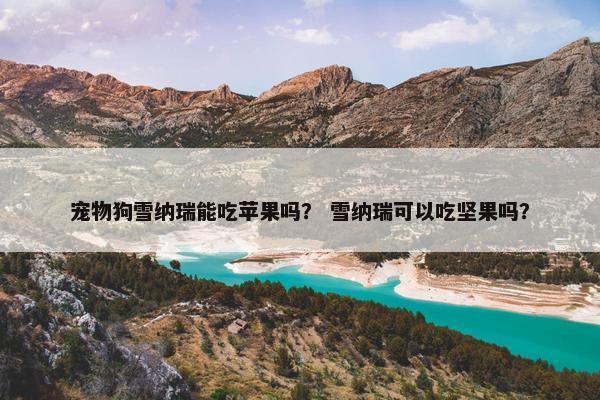 宠物狗雪纳瑞能吃苹果吗？ 雪纳瑞可以吃坚果吗？