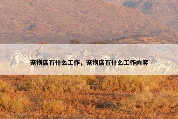 宠物店有什么工作，宠物店有什么工作内容