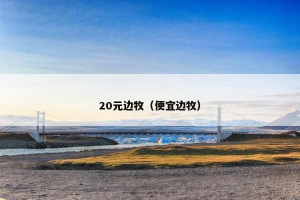 20元边牧（便宜边牧）