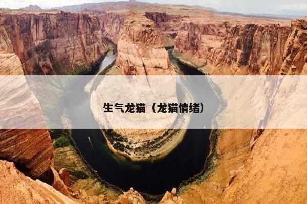 生气龙猫（龙猫情绪）