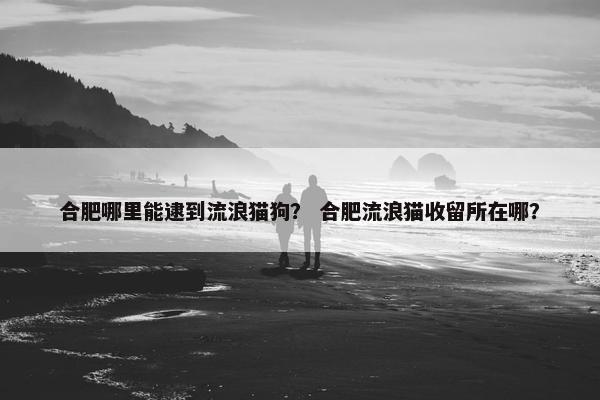 合肥哪里能逮到流浪猫狗？ 合肥流浪猫收留所在哪？