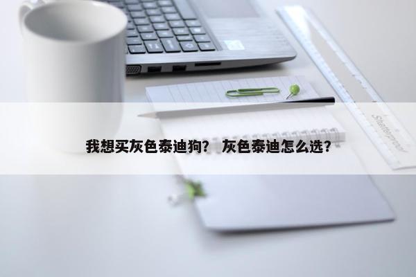 我想买灰色泰迪狗？ 灰色泰迪怎么选？