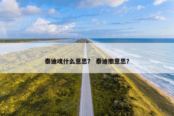 泰迪魂什么意思？ 泰迪撒意思？