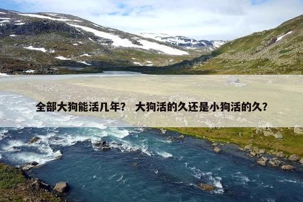 全部大狗能活几年？ 大狗活的久还是小狗活的久？
