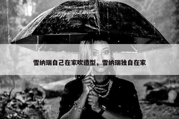 雪纳瑞自己在家吹造型，雪纳瑞独自在家