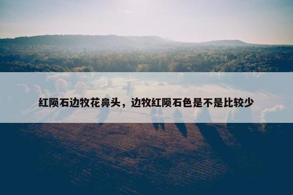 红陨石边牧花鼻头，边牧红陨石色是不是比较少