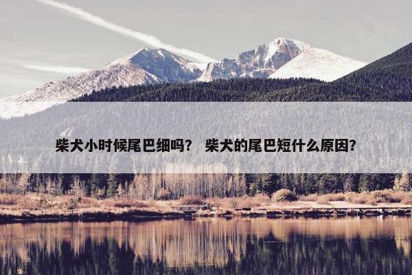 秋田 第8页