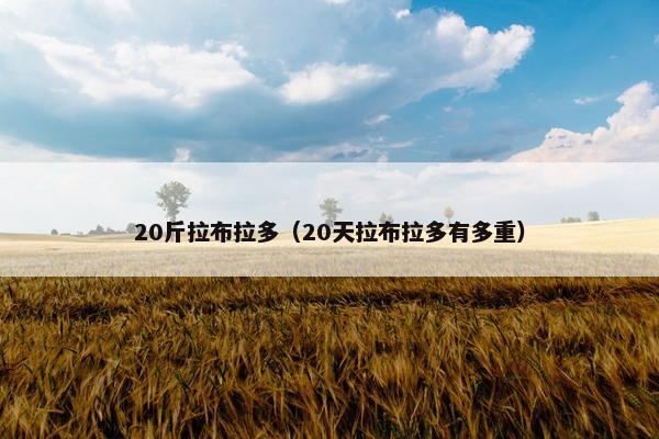 20斤拉布拉多（20天拉布拉多有多重）