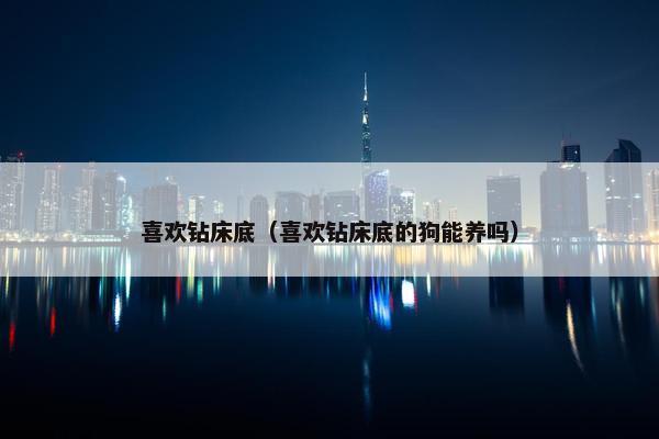 喜欢钻床底（喜欢钻床底的狗能养吗）