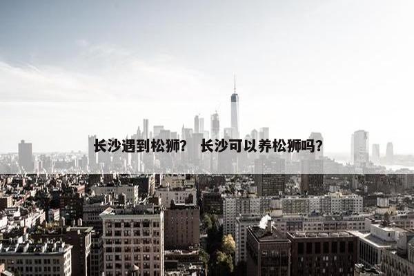长沙遇到松狮？ 长沙可以养松狮吗？