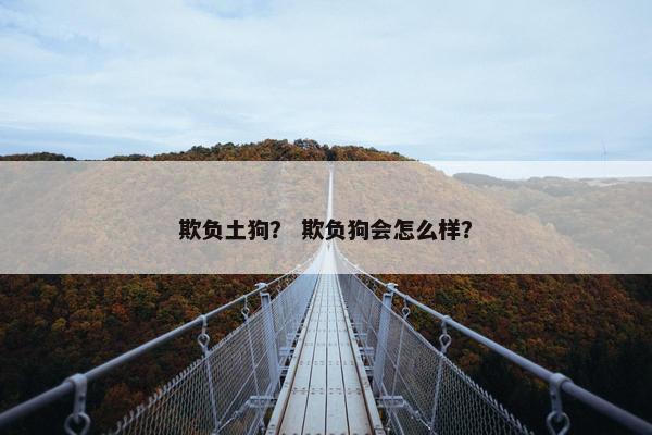 欺负土狗？ 欺负狗会怎么样？