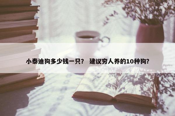 小泰迪狗多少钱一只？ 建议穷人养的10种狗？