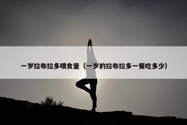 一岁拉布拉多喂食量（一岁的拉布拉多一餐吃多少）