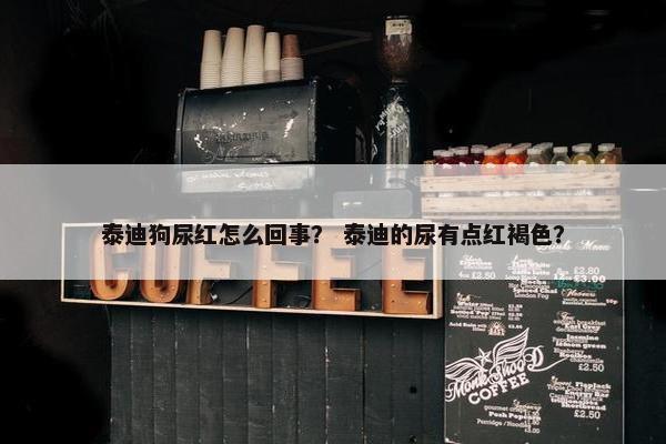泰迪狗尿红怎么回事？ 泰迪的尿有点红褐色？