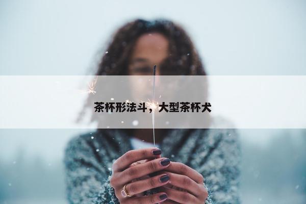 茶杯形法斗，大型茶杯犬