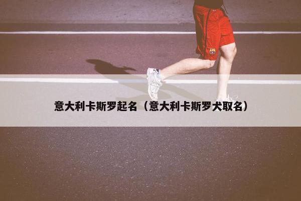 意大利卡斯罗起名（意大利卡斯罗犬取名）