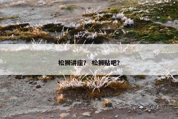 松狮讲座？ 松狮贴吧？
