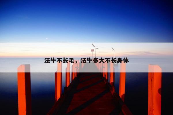法牛不长毛，法牛多大不长身体