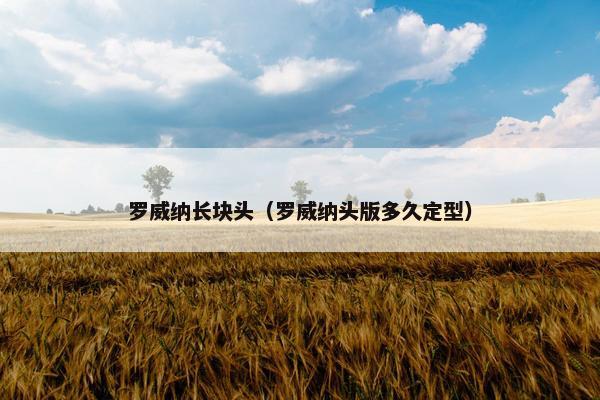 威纳 第53页