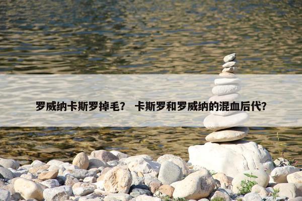 罗威纳卡斯罗掉毛？ 卡斯罗和罗威纳的混血后代？