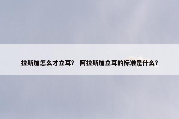 拉斯加怎么才立耳？ 阿拉斯加立耳的标准是什么？