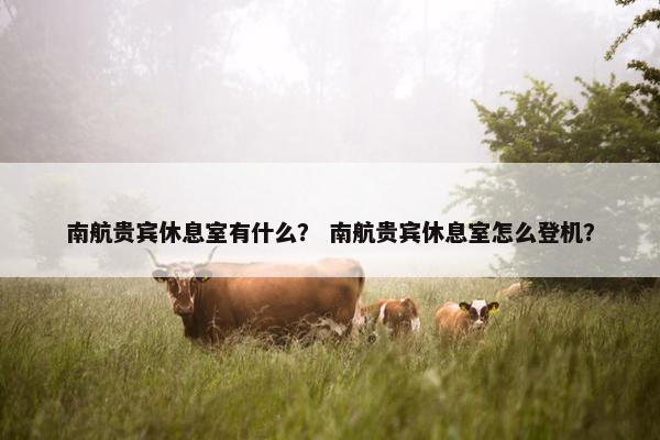 南航贵宾休息室有什么? 南航贵宾休息室怎么登机?