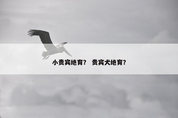 小贵宾绝育？ 贵宾犬绝育？
