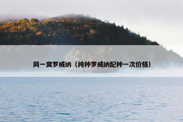 同一窝罗威纳（纯种罗威纳配种一次价格）