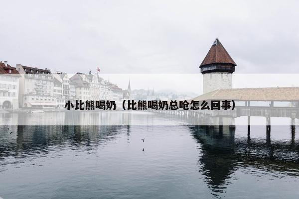 小比熊喝奶（比熊喝奶总呛怎么回事）