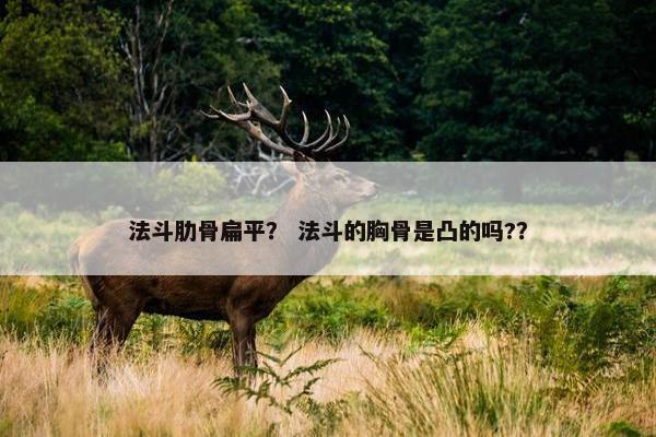 法斗肋骨扁平？ 法斗的胸骨是凸的吗?？