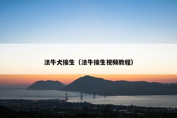 法牛犬接生（法牛接生视频教程）