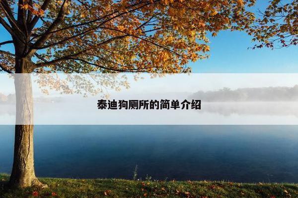 泰迪狗厕所的简单介绍