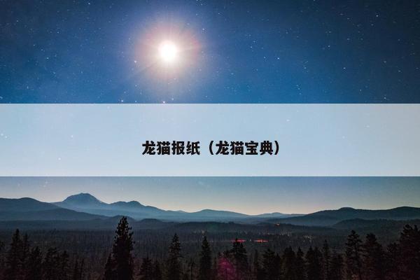 龙猫报纸(龙猫宝典)