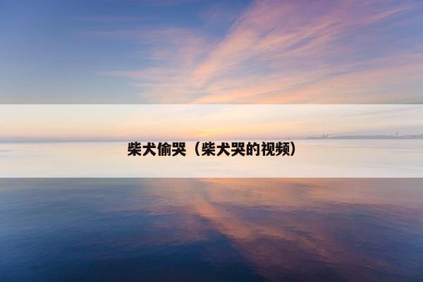 柴犬偷哭(柴犬哭的视频)